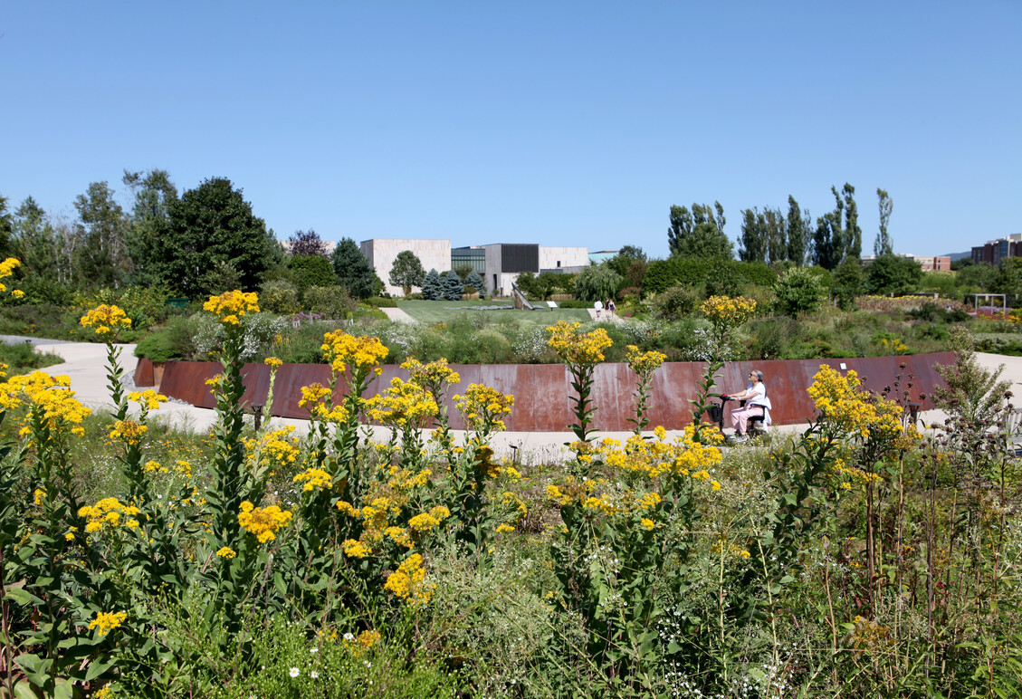 Virtual Art Garden Installation at the Palmer Museum of Art