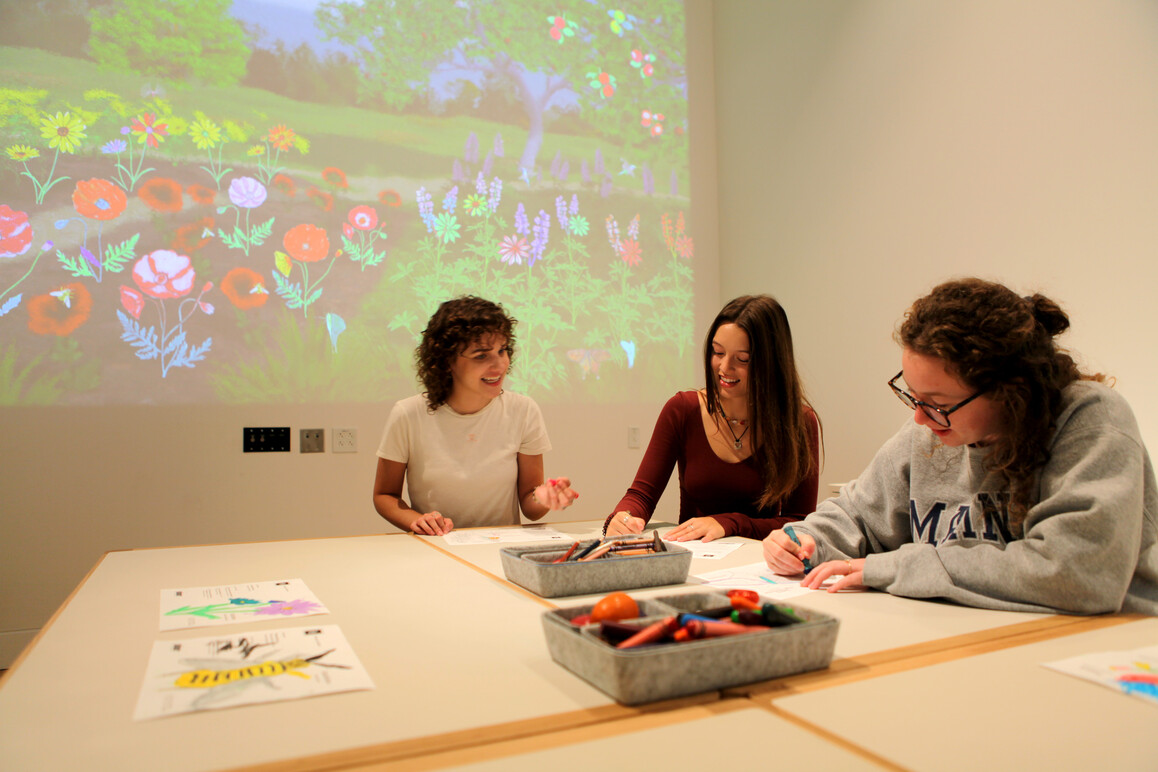 Virtual Art Garden Installation at the Palmer Museum of Art