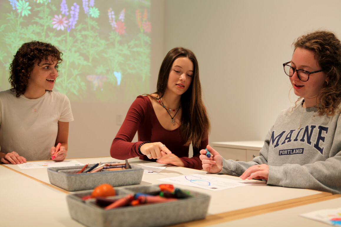 Virtual Art Garden Installation at the Palmer Museum of Art