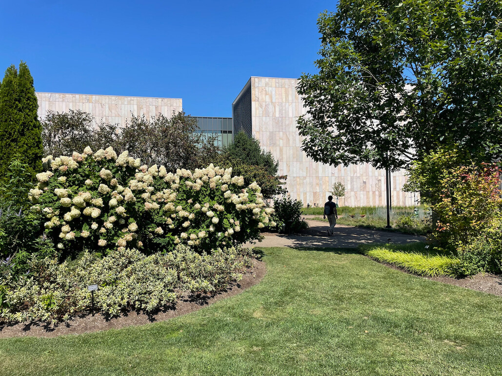 Virtual Art Garden Installation at the Palmer Museum of Art