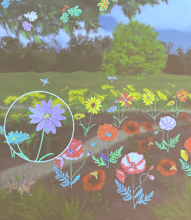 Virtual Art Garden Installation at the Palmer Museum of Art