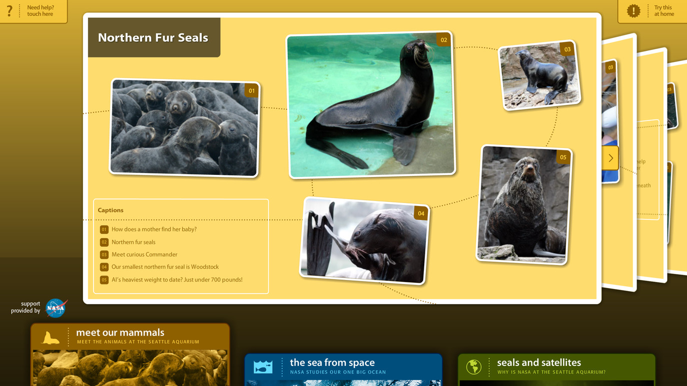 Detailed information on Northern Fur Seals.